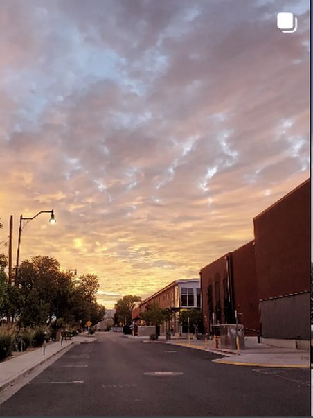 Neighborhood street at sunset