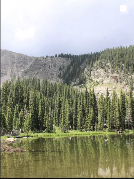 Calm forest lake reflection