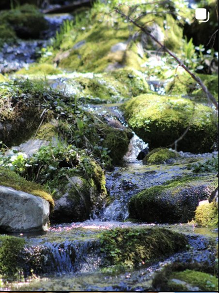 Mossy waterfall