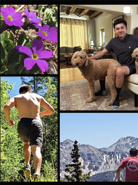 Wildflowers, the dog, and a trail selfie