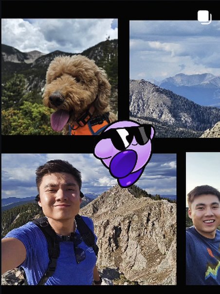The dog on a rocky overlook