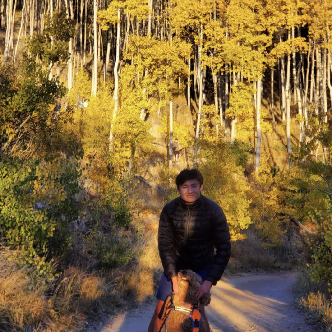 Aspen sunset with pet poodle